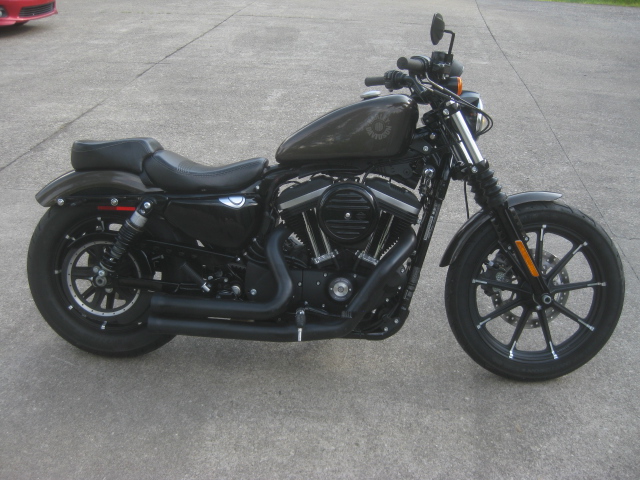2020 Harley Davidson  XL883N Sportster Iron